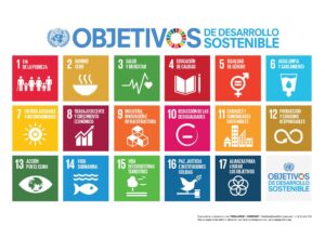 s sdg poster letter