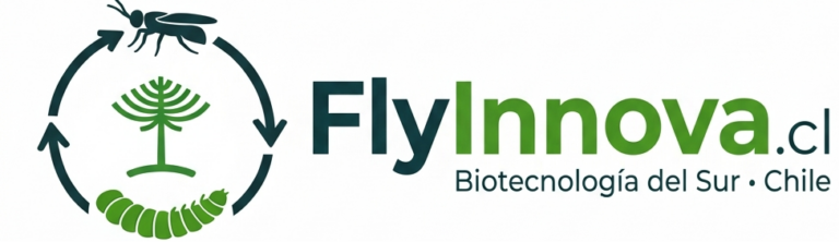 FlyInnova